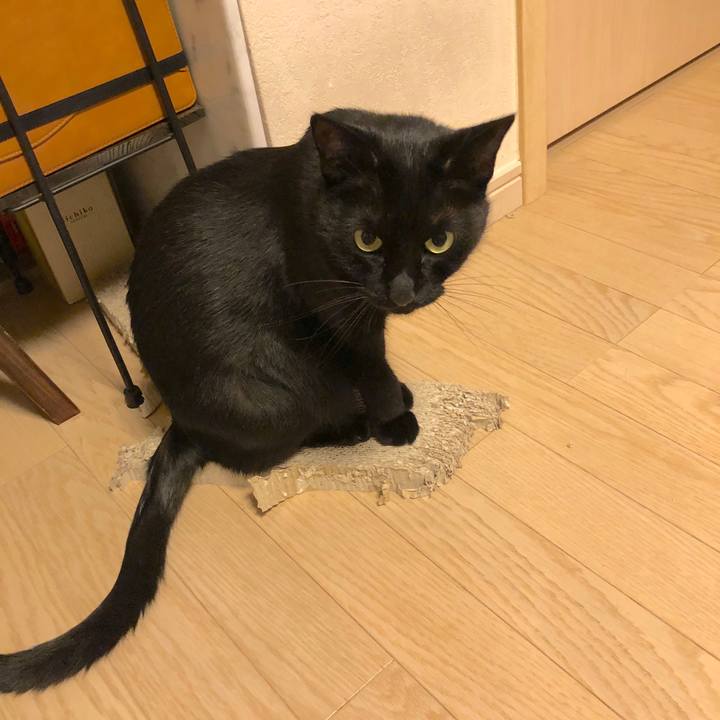 2755b212 2e76 4a31 8232 c923150ee593 1576242324792