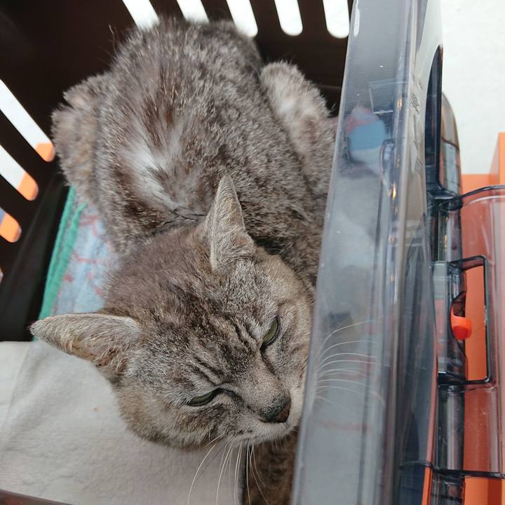 275621b9 c0f3 4ebd 91f0 6300e32781ae 1595727489088