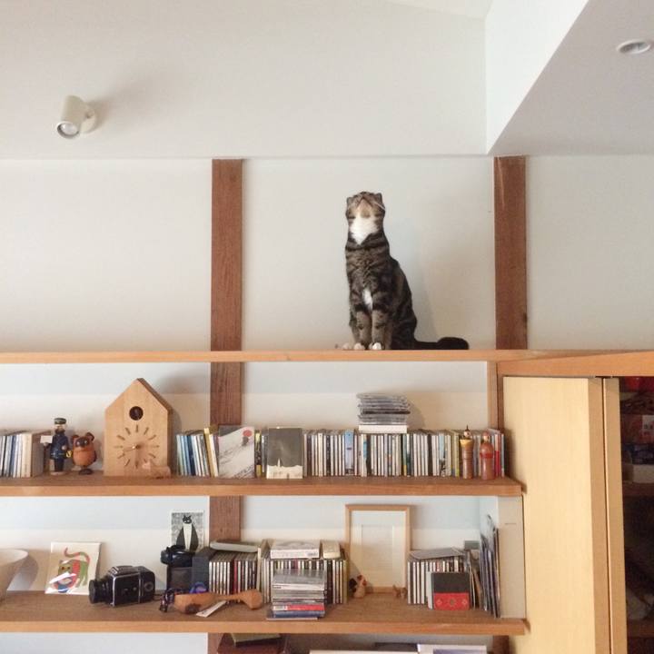 275632a4 0b30 48f7 8ce9 a45d5cbb1189 1543535977625