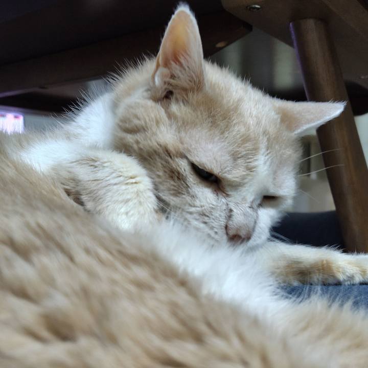 27563449 fbe6 41c3 9271 e43f956f0284 1753265976948