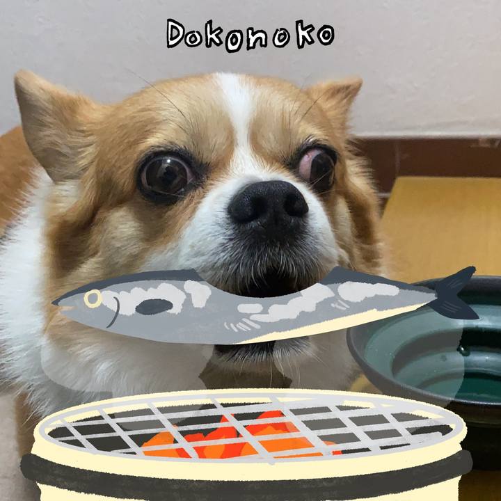 2756882b 24ed 4e03 a3ce 8e35ae263900 1761109179099