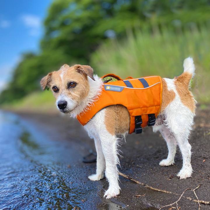 2756a168 1c10 4675 9cb0 40e1d17a4842 1689337827016