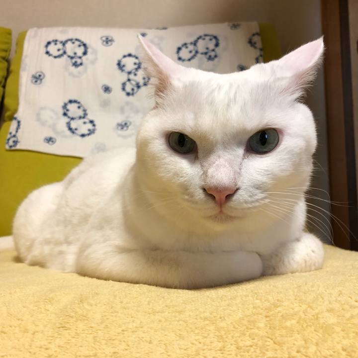 2756ad60 dd1c 4df3 884f 54e7f95bb940 1626920131881