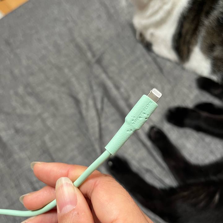 2756e4aa b567 4a65 8fbf 090801e9e985 1729990405836