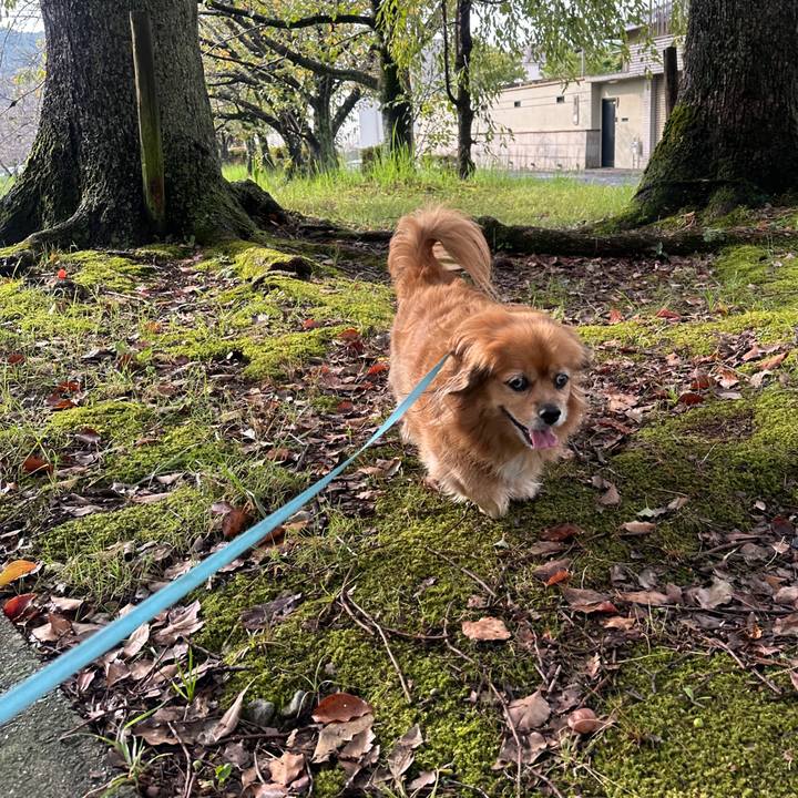 275729ea 3b3f 44b2 85e9 776ee7d27c2e 1727573279866