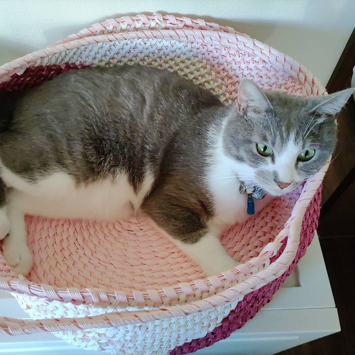 2757db11 3a66 477e b855 d01e19c35dee 1691100283668