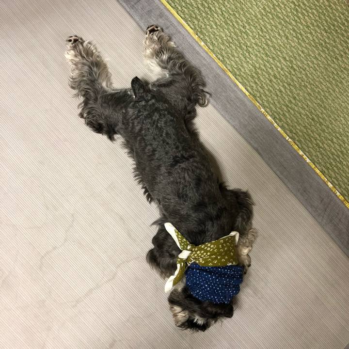 2757eb4d e2ec 4fdc 8e1d eec592c8f025 1564141786324