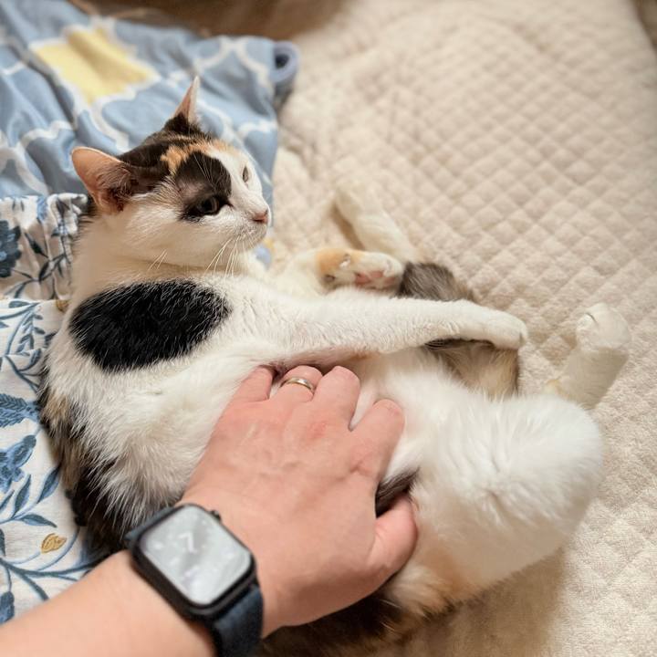 2757fa77 4c6b 4baf 960f 9a78de40ed85 1754788492409