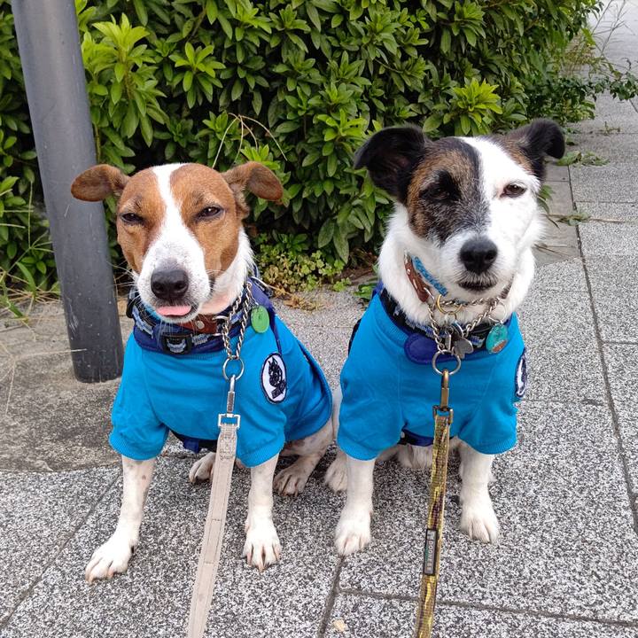 27580d43 222b 4fa0 8c89 5078f38feff5 1632955908824