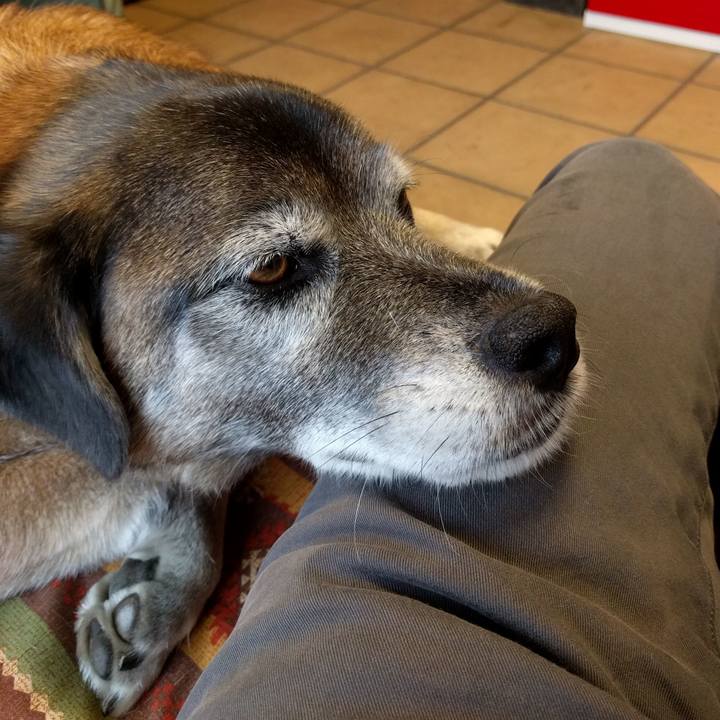 27580ee0 fcc2 49b7 aa8b bb1726f1e435 1524464055263