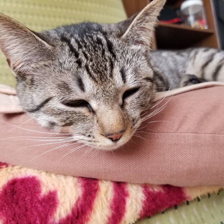 275816ed 8733 4711 85dc 311c9b6766fa 1677109825050