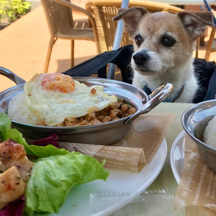 275830de b5f4 490c bfe9 eca36e3d851e 1651638764637