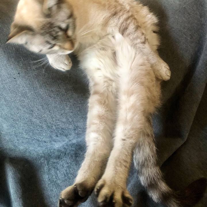 27587253 3325 44ce a01e ca31f9314fff 1741572355328