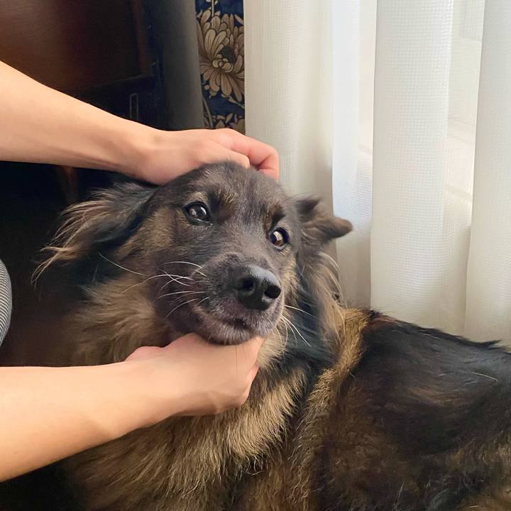 2758a008 3ed7 49bf a0a8 c6f81aeddb4b 1754810705287