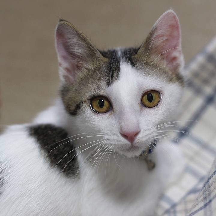 2758c1d7 9906 4cc3 962b 7b19d20e49ae 1547723341629