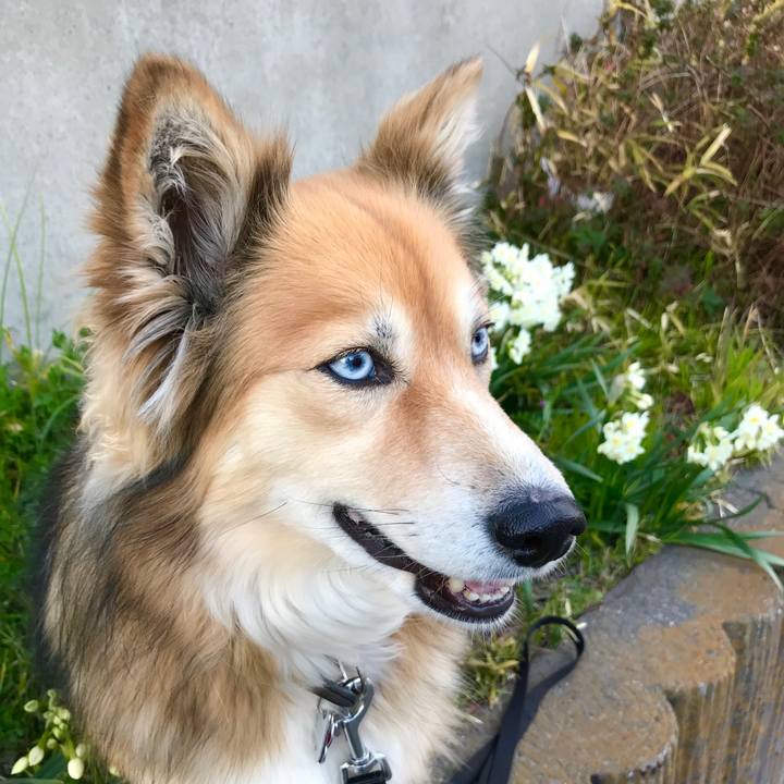 27592322 e0aa 4c31 b085 d2739015be32 1519718183194