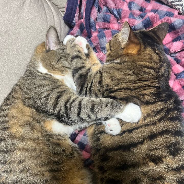 2759430f 61b1 4c39 91e0 46e7a9e7ba53 1771515307146