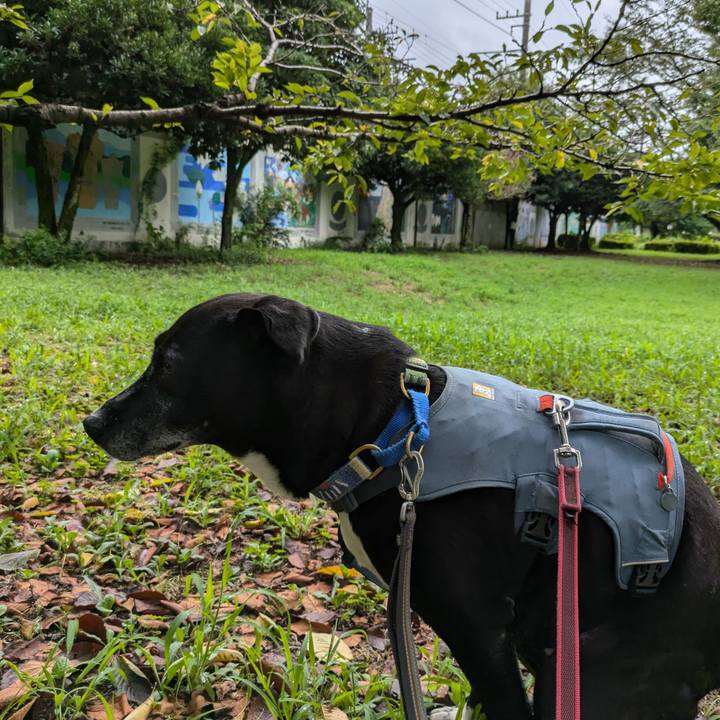 275945d5 1afe 4d92 9274 eaee16159ebc 1724543277657