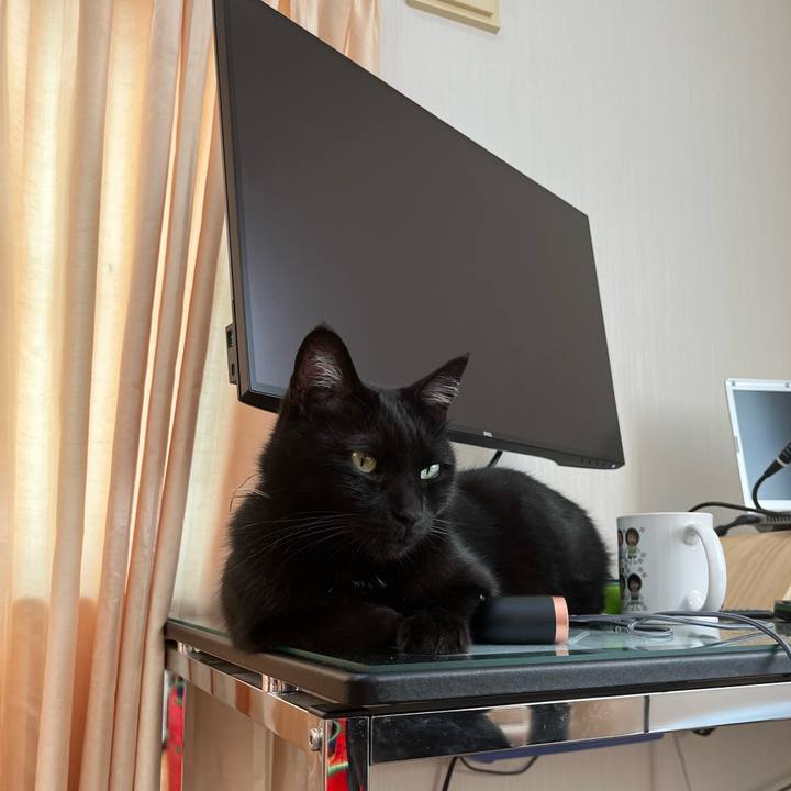 27595569 1aa7 4a5f adf5 1a4596b0a6a3 1683762308005