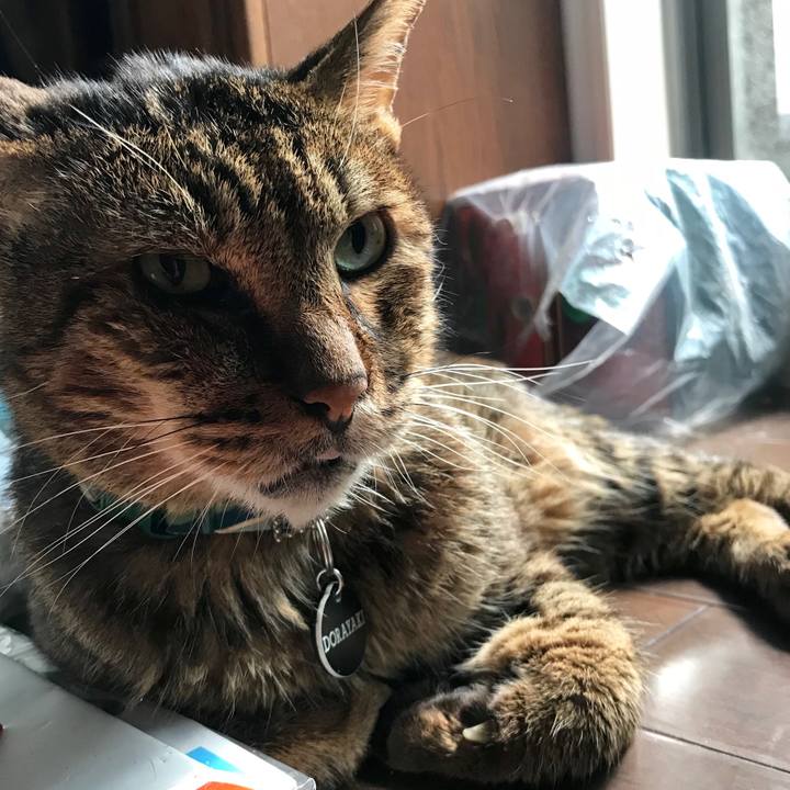 275973fd 0759 43d2 9b0f 11ae9278d0f3 1536330921263