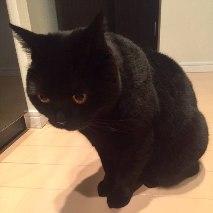 27597bbb e9a8 42dd b0f7 d3d18b4d378d 1552568532991