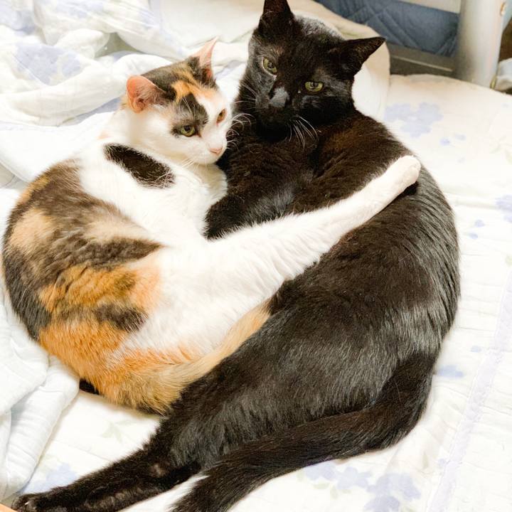 27598083 0465 4698 b038 f776f2559655 1568166205662