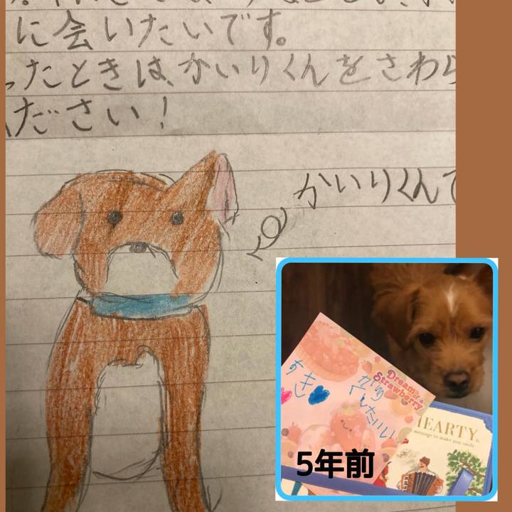 27598aca 2067 4157 a1da cb313d048591 1705726477347