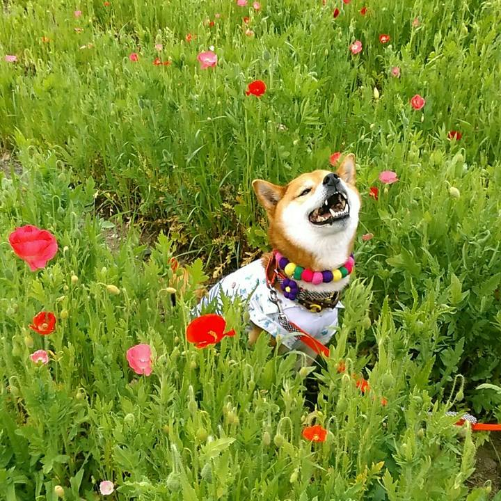 27598ecd 893a 451b 93ca 2a32b04f0ccd 1557117852865