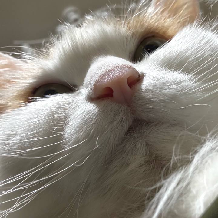 27599b9a bb97 4b65 9f13 e077b378d649 1772355467170