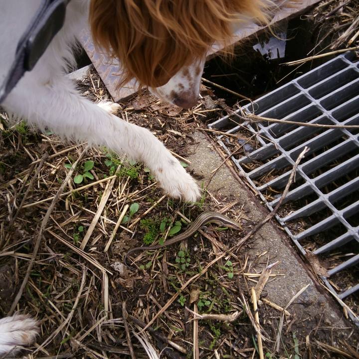 2759bc1c 92b9 455e 873f c2b1ecfcd991 1521623075970