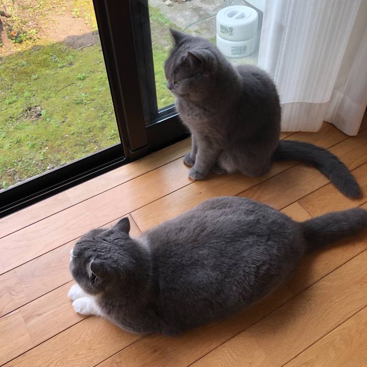 2759dc4e 9a1e 4a92 a797 e5f88f96c397 1587889871909