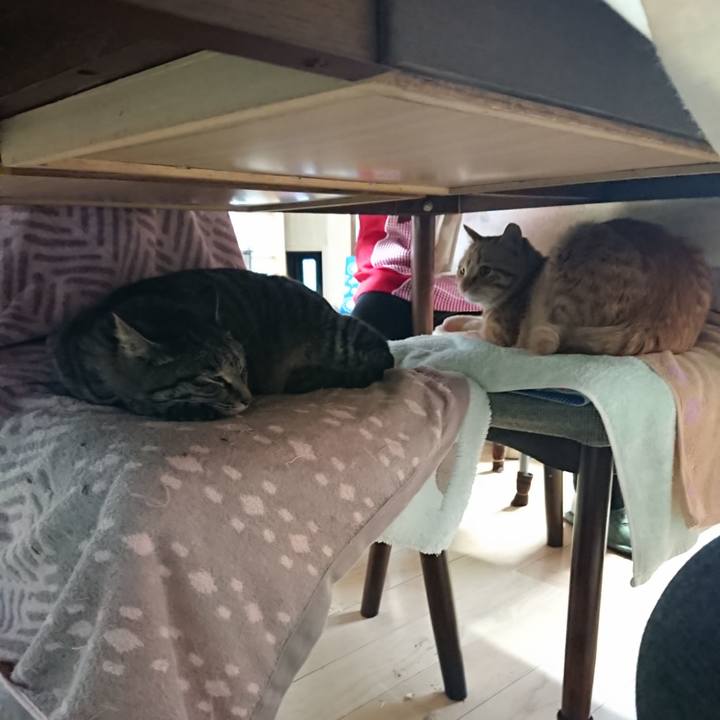 2759e411 02e3 400d b853 47c4c7914f6f 1648681011953