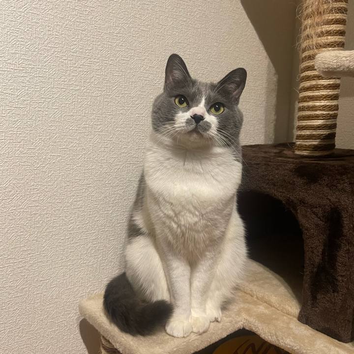 2759e977 a803 49bd 92a6 4efaa5f7b039 1704639428765