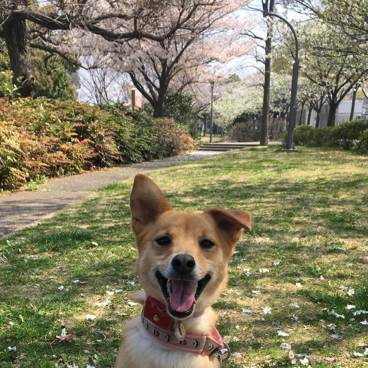 275a16f1 e628 4033 a0fd 0dff64751b31 1522211355355