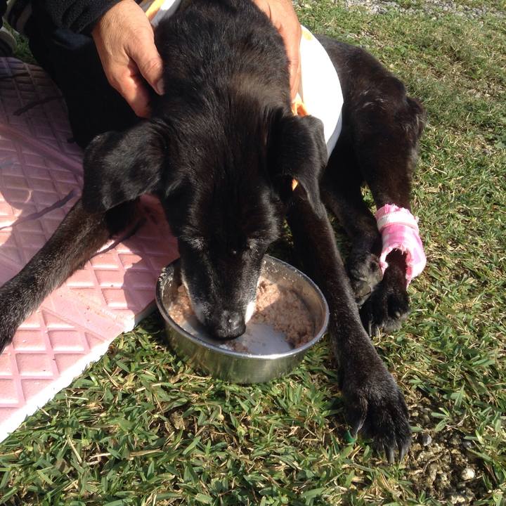 275a383e 8ab5 42d8 8097 be359d91353f 1515986948354