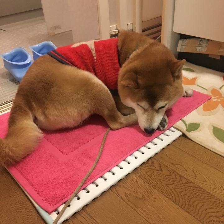 275a44eb dafc 443b a780 6fd6327dd614 1516609877176