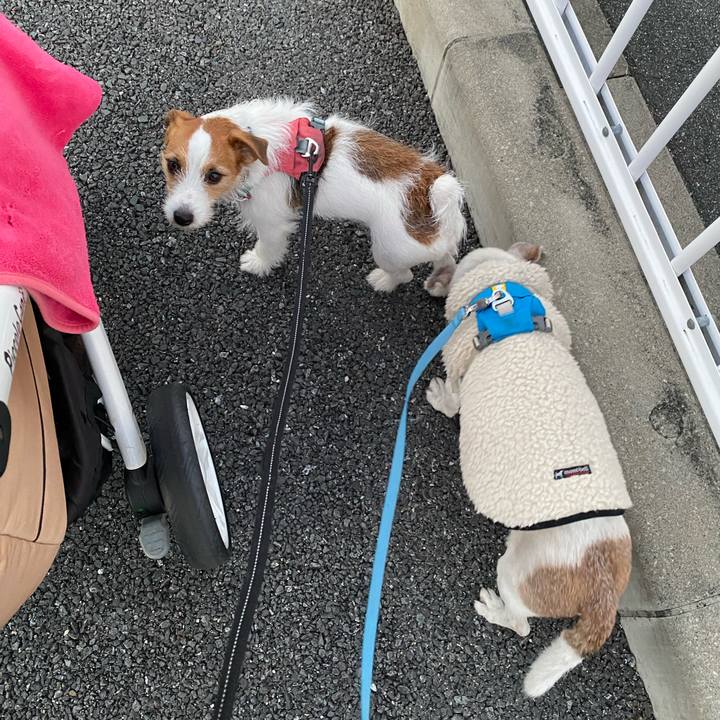 275a6069 dad1 4117 8519 b31399eca60d 1733089493757