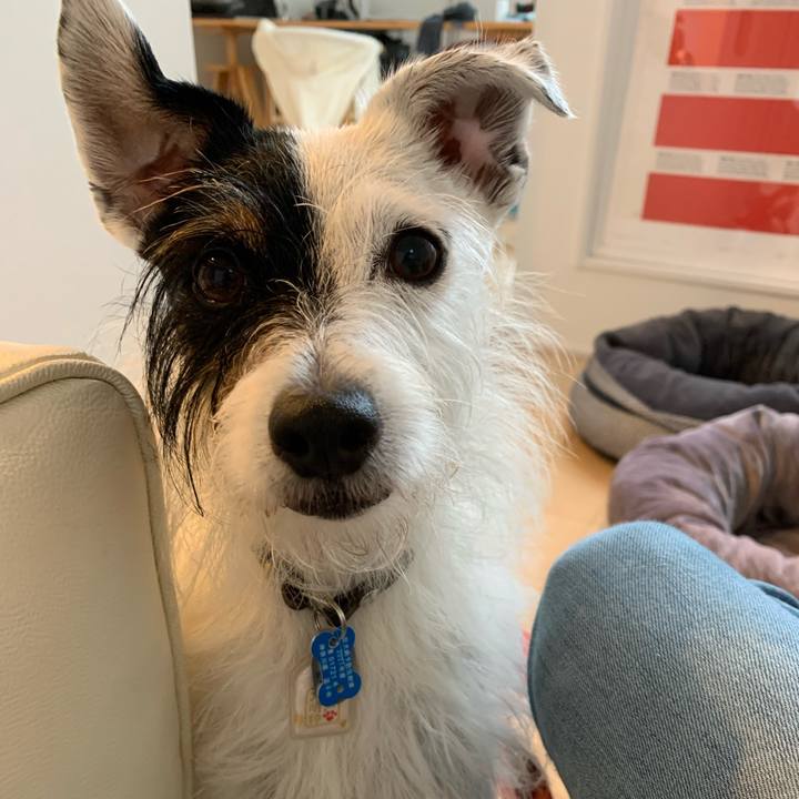 275a78f9 5fa8 4fa1 a50c a37313437540 1628841182852