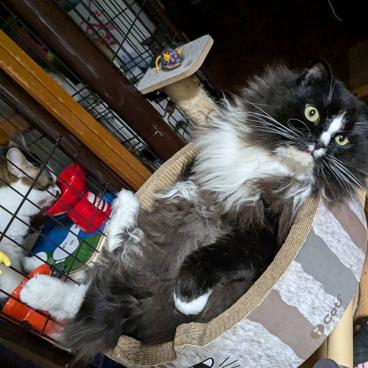 275a9abe 4cfe 463f 8f50 dbbc9eae4b1b 1730154321032