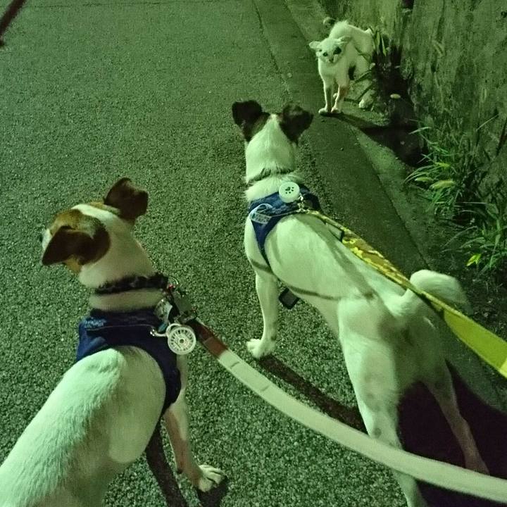 275ae896 5e20 4a27 b550 7a4e9578c3ba 1532950539434