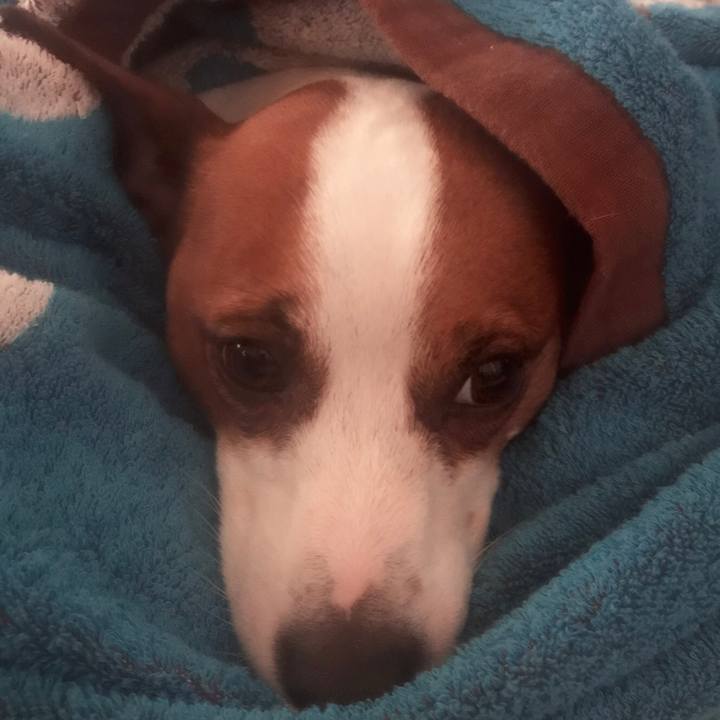 275b01e2 f656 4a74 a85a ced56633f93f 1530564943393