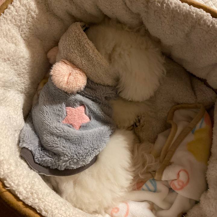 275b274d b022 4029 88db a31174bd6316 1672561641164