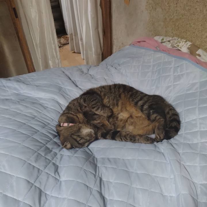 275b35af ad5f 42fc 9475 a88edbca8316 1713874095584