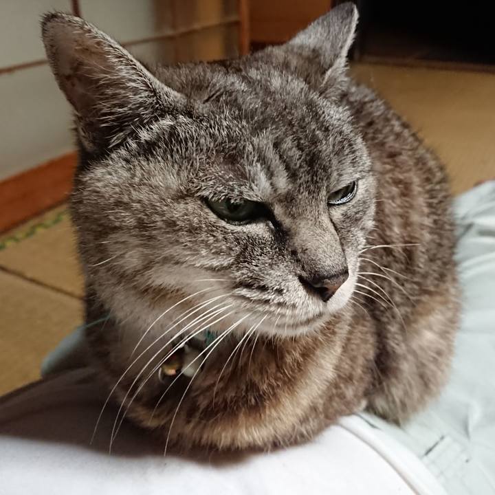 275b367d 529f 496e b129 9733adf0408f 1567418128140