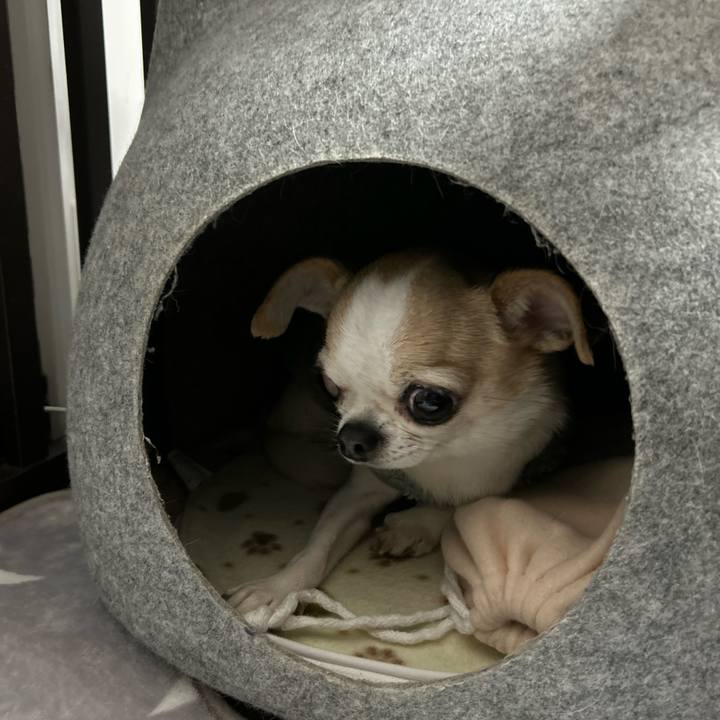 275b9292 0b48 4e22 9991 0f5aa7b2f9d2 1768398763921