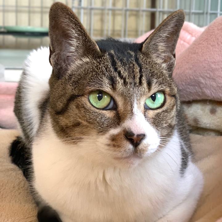 275c0e39 68fe 4bec b8f0 b700d8b69c75 1555635740558