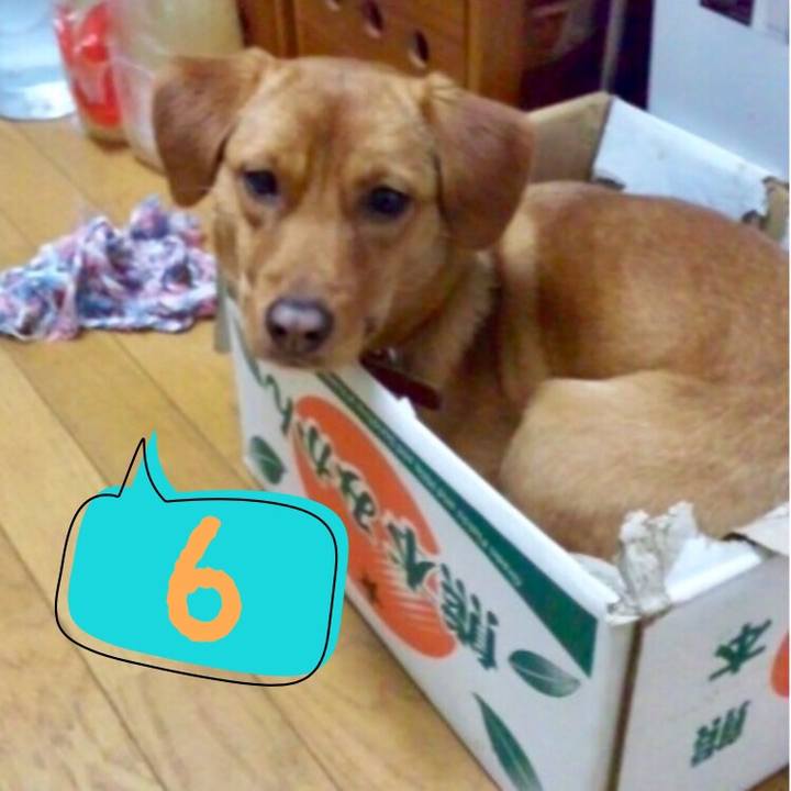 275c507f ea7f 4b52 a14f d2bac948bce0 1556120473094