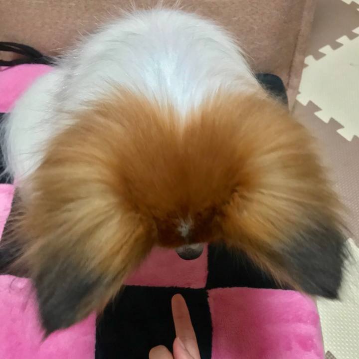 275c582b be13 4f6d a30f bca534877531 1521979677443