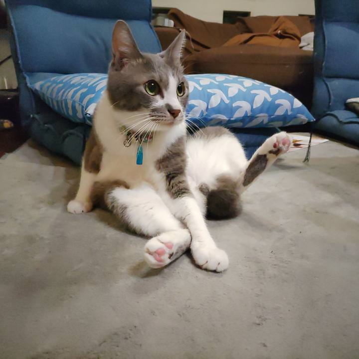 275c7f7c d4d4 4ecc 9bf9 7b3b2311ce6c 1694097001851