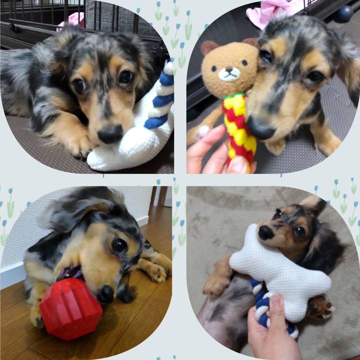 275c8a2d 0899 427f 9758 fd93f8ba8e0a 1699321795677